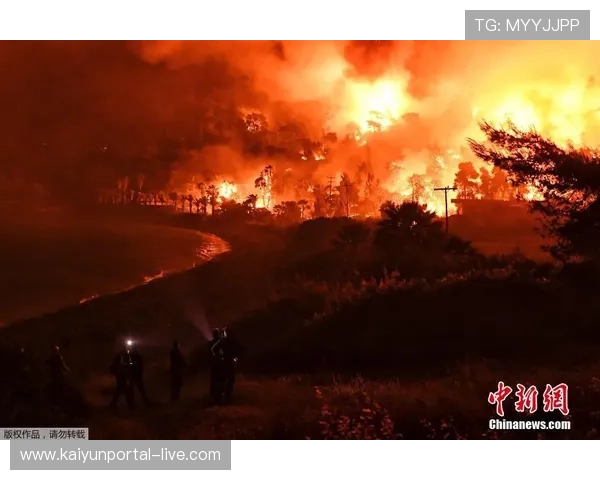 开云体育内部波胆交流群怎么进避坑指南平台对比防骗